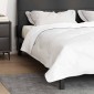 vidaXL Κουβέρτα 2 σε 1 220 x 200 x 10 εκ. Χειμώνας Πολυεστέρας Λευκό