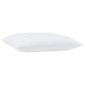 vidaXL Μαξιλάρι 2 τμχ. 75 x 50 x 20 εκ Βαμβάκι και Πολυεστέρας Λευκό