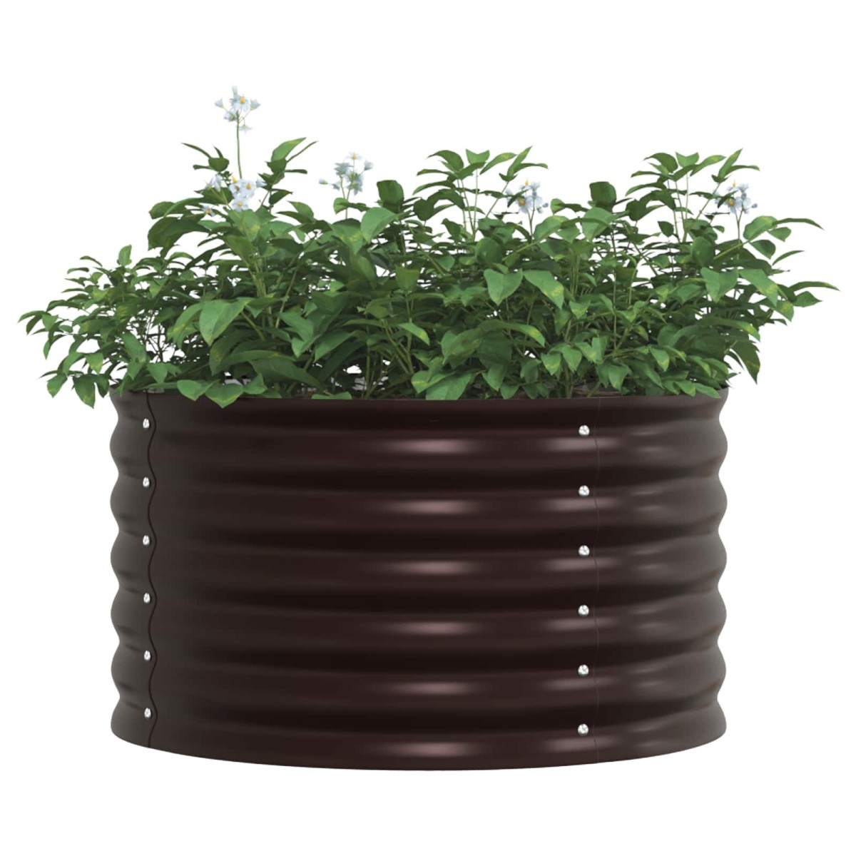 vidaXL Ανεβασμένο Κρεβάτι Καφέ 80 x 80 x 44 cm Ατσάλι