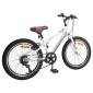 vidaXL Ορεινό Ποδήλατο 20 ίντσες 6-Speed για παιδιά 5-8 ετών Λευκό