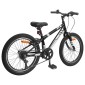 vidaXL Ορεινό Ποδήλατο 20 ίντσες 6-Speed Για παιδιά 5-8 ετών Μαύρο