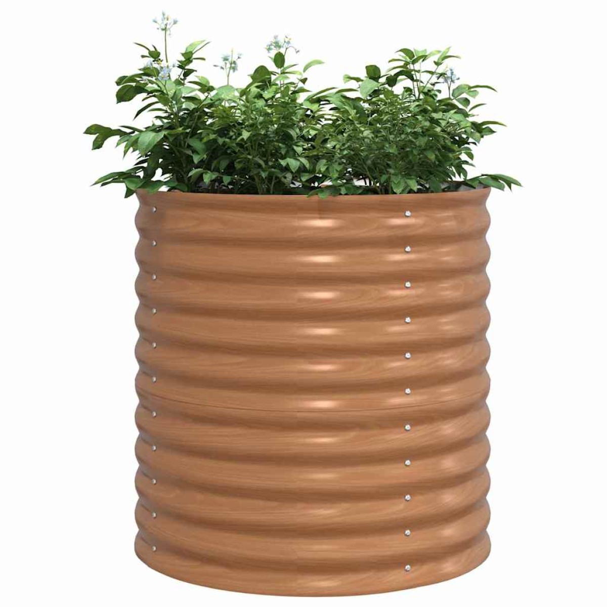 vidaXL Ανεβασμένο Κρεβάτι Καφέ 80 x 80 x 81 cm Ατσάλι