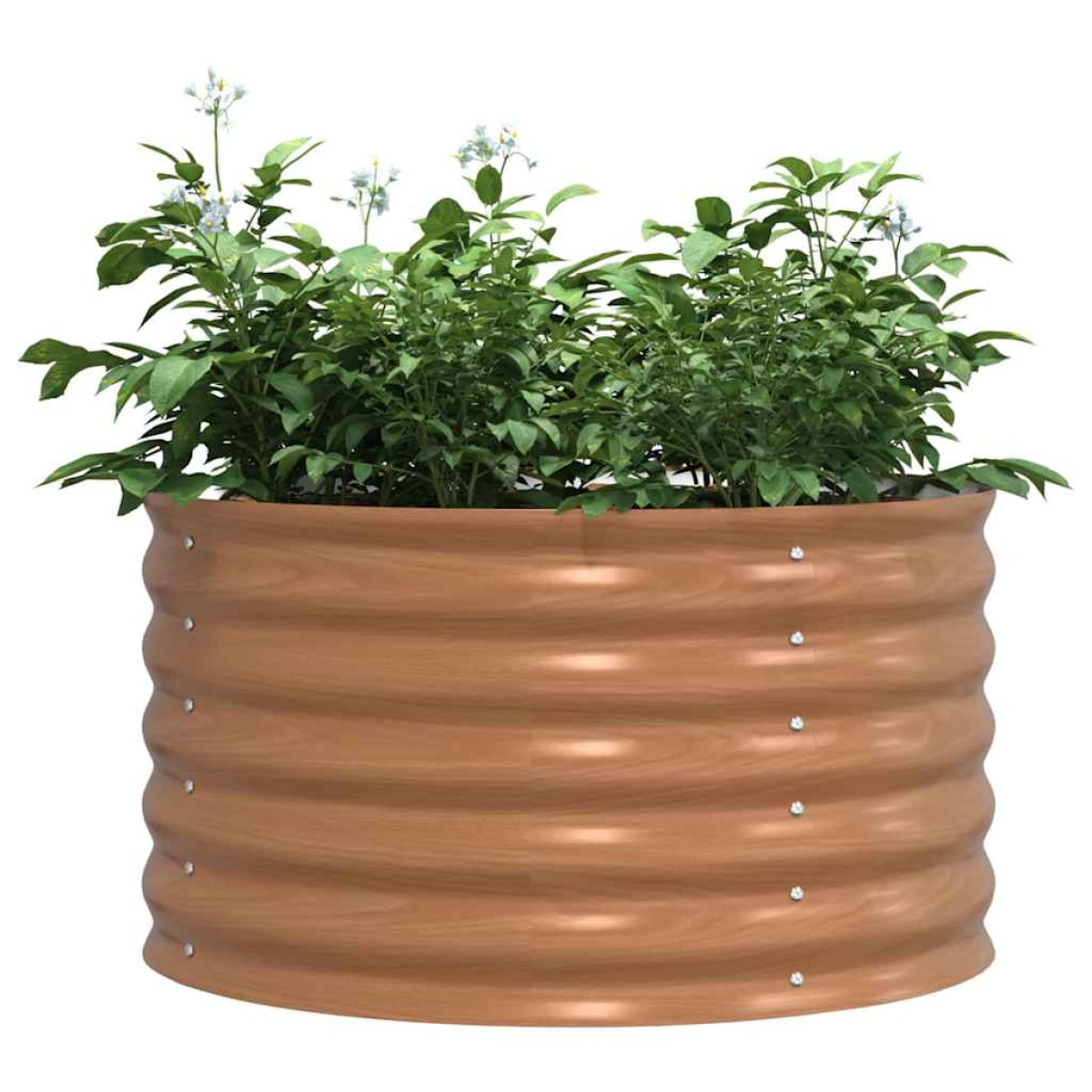 vidaXL Ανεβασμένο Κρεβάτι Καφέ 80 x 80 x 44 cm Ατσάλι
