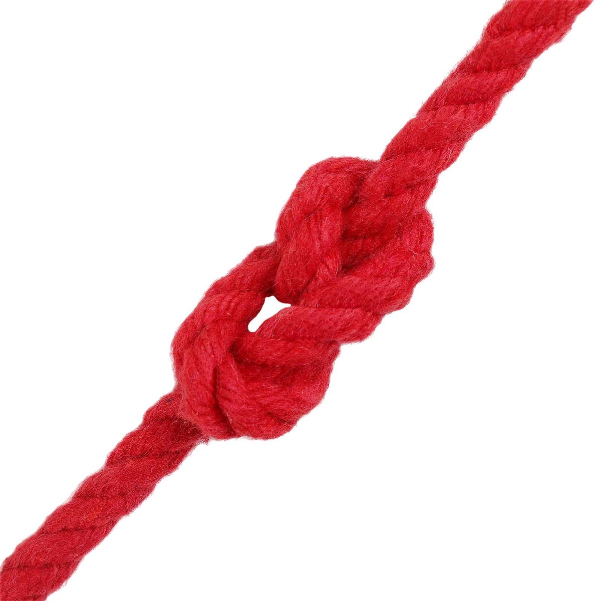 vidaXL Cotton Twine 10 τμχ. 2 mm 100 m Κόκκινο 100% Βαμβάκι