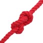 vidaXL Κωτόσχοινo 12 mm 25 m Κόκκινο 100% Βαμβάκι