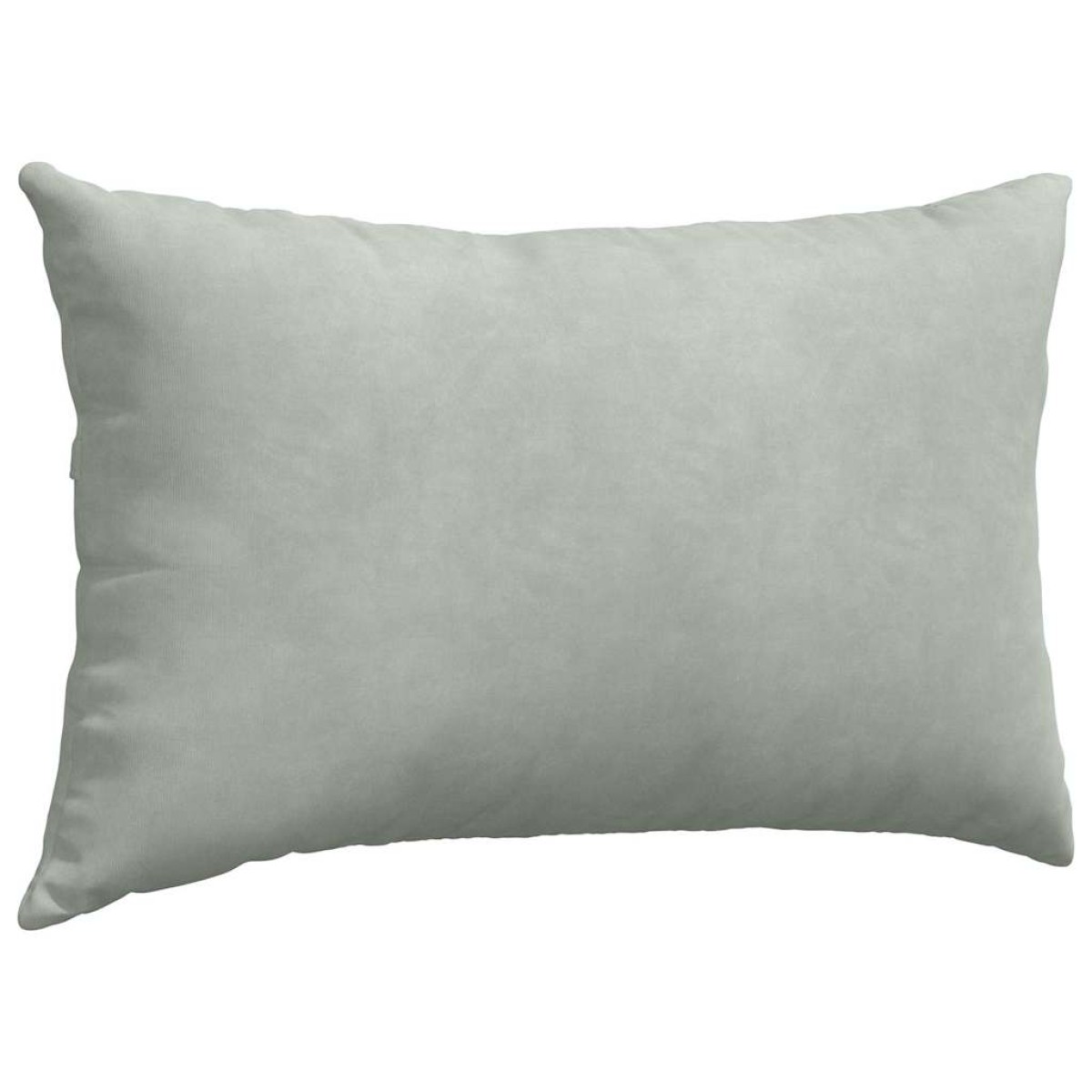 vidaXL Μαξιλάρι Καναπέ 2 pcs Ανοιχτό γκρι 50 x 30 cm