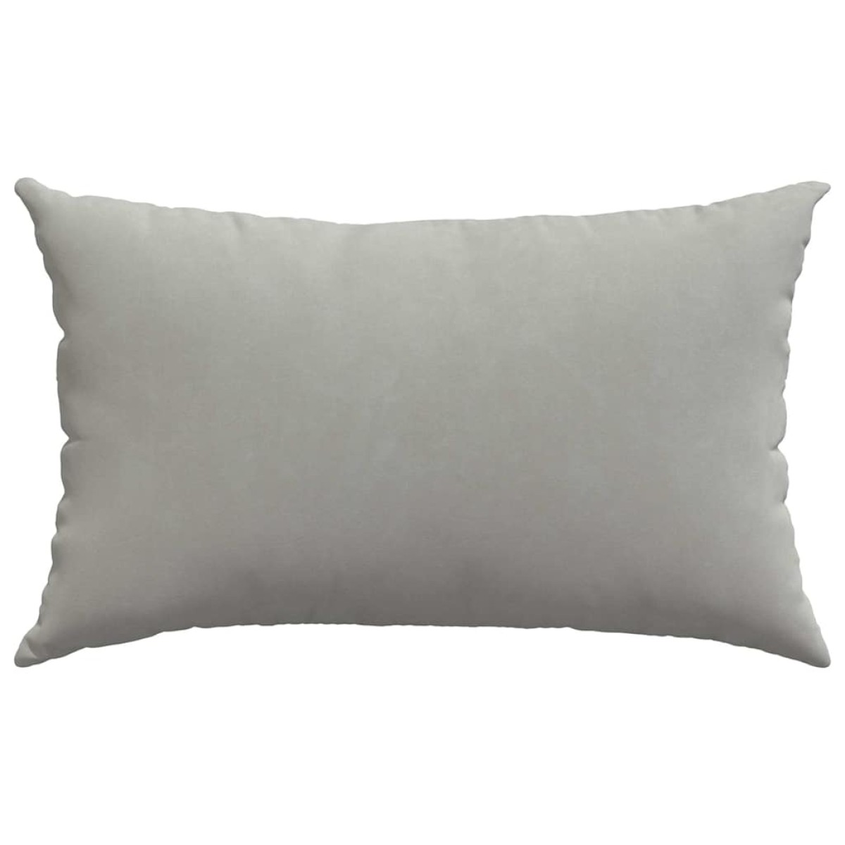 vidaXL Μαξιλάρι Καναπέ 2 pcs Ανοιχτό γκρι 50 x 30 cm ύφασμα