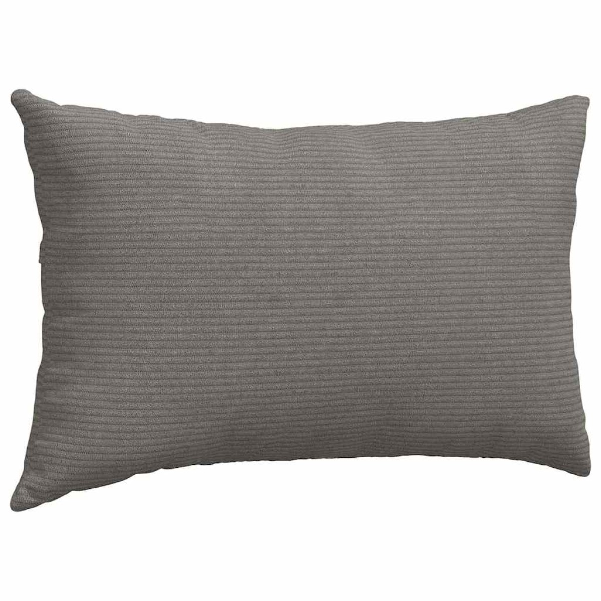vidaXL Μαξιλάρι Καναπέ 2 pcs Ανοιχτό γκρι 50 x 30 cm
