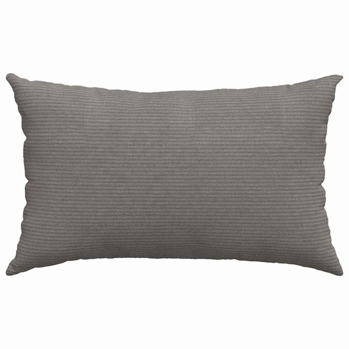 vidaXL Μαξιλάρι Καναπέ 2 pcs Ανοιχτό γκρι 50 x 30 cm
