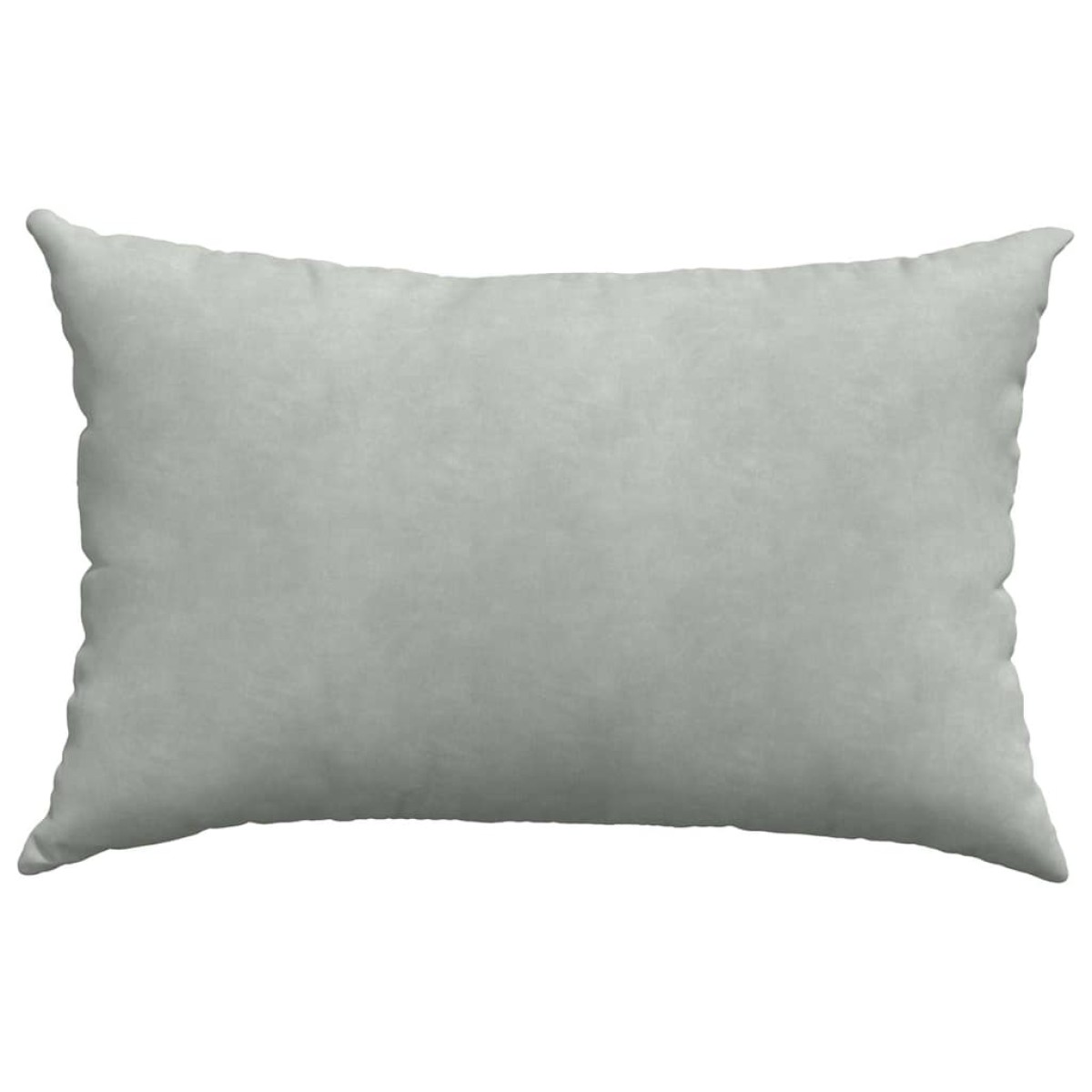 vidaXL Μαξιλάρι Καναπέ 2 pcs Ανοιχτό γκρι 60 x 40 cm