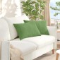 vidaXL Μαξιλάρι Καναπέ 2 pcs Ανοιχτό πράσινο 60 x 40 cm