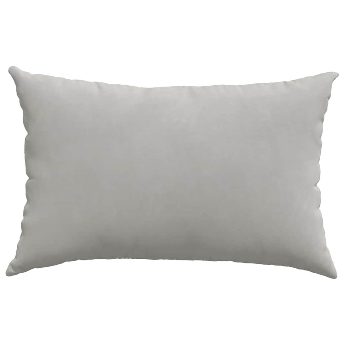 vidaXL Μαξιλάρι Καναπέ 2 pcs Ανοιχτό γκρι 60 x 40 cm ύφασμα