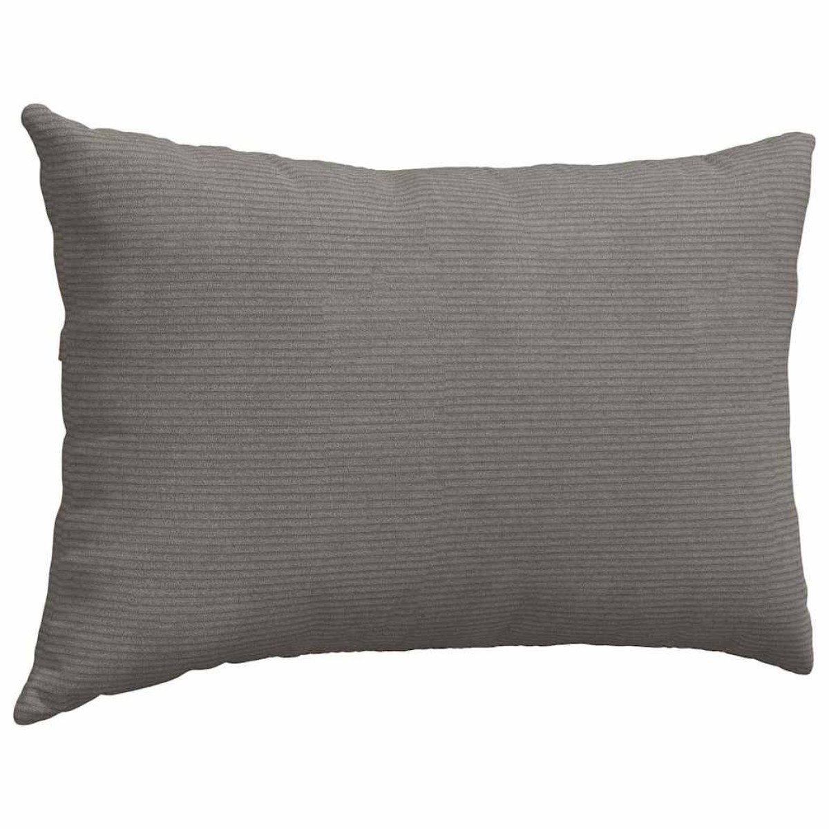 vidaXL Μαξιλάρι Καναπέ 2 pcs Ανοιχτό γκρι 60 x 40 cm