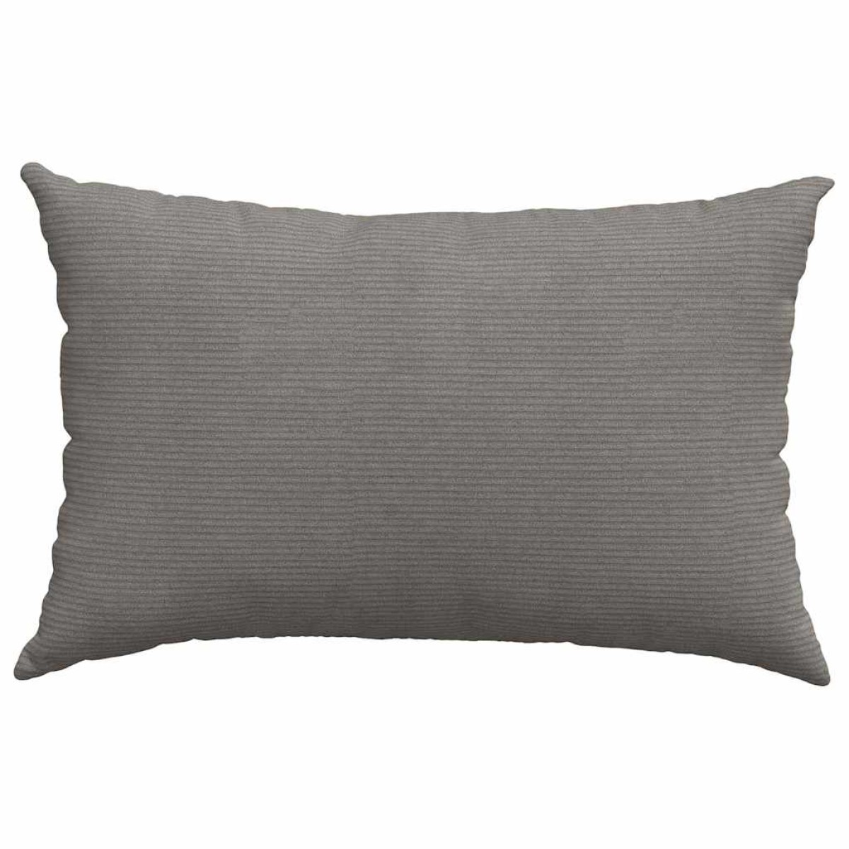 vidaXL Μαξιλάρι Καναπέ 2 pcs Ανοιχτό γκρι 60 x 40 cm