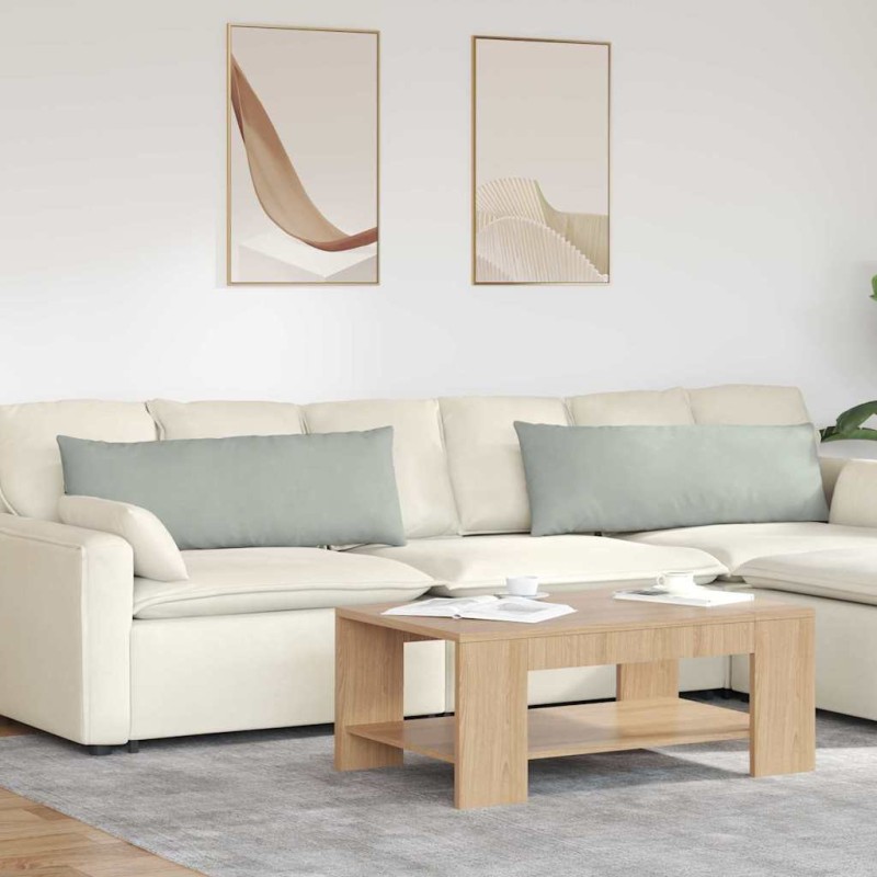 vidaXL Μαξιλάρι Καναπέ 2 pcs Ανοιχτό γκρι 120 x 40 cm