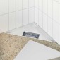 vidaXL 2 σε 1 Τριγωνική Σαρωθριά Λεκάνη Ασημί 32 x 32 x 7,5 εκ