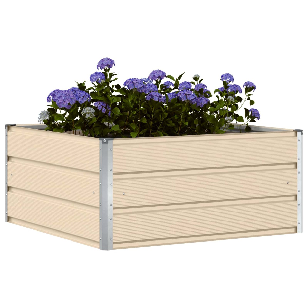 vidaXL Γλάστρα Ελεφαντόδοντο 100 x 100 x 45 cm Ατσάλι