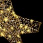 vidaXL 3D Αστέρι με 50 LED Θερμό λευκό 55 x 52.5 x 9 εκ PET