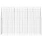 vidaXL Κλουβί Κουνελιού Ασημί 300 x 100 x 210 εκ.