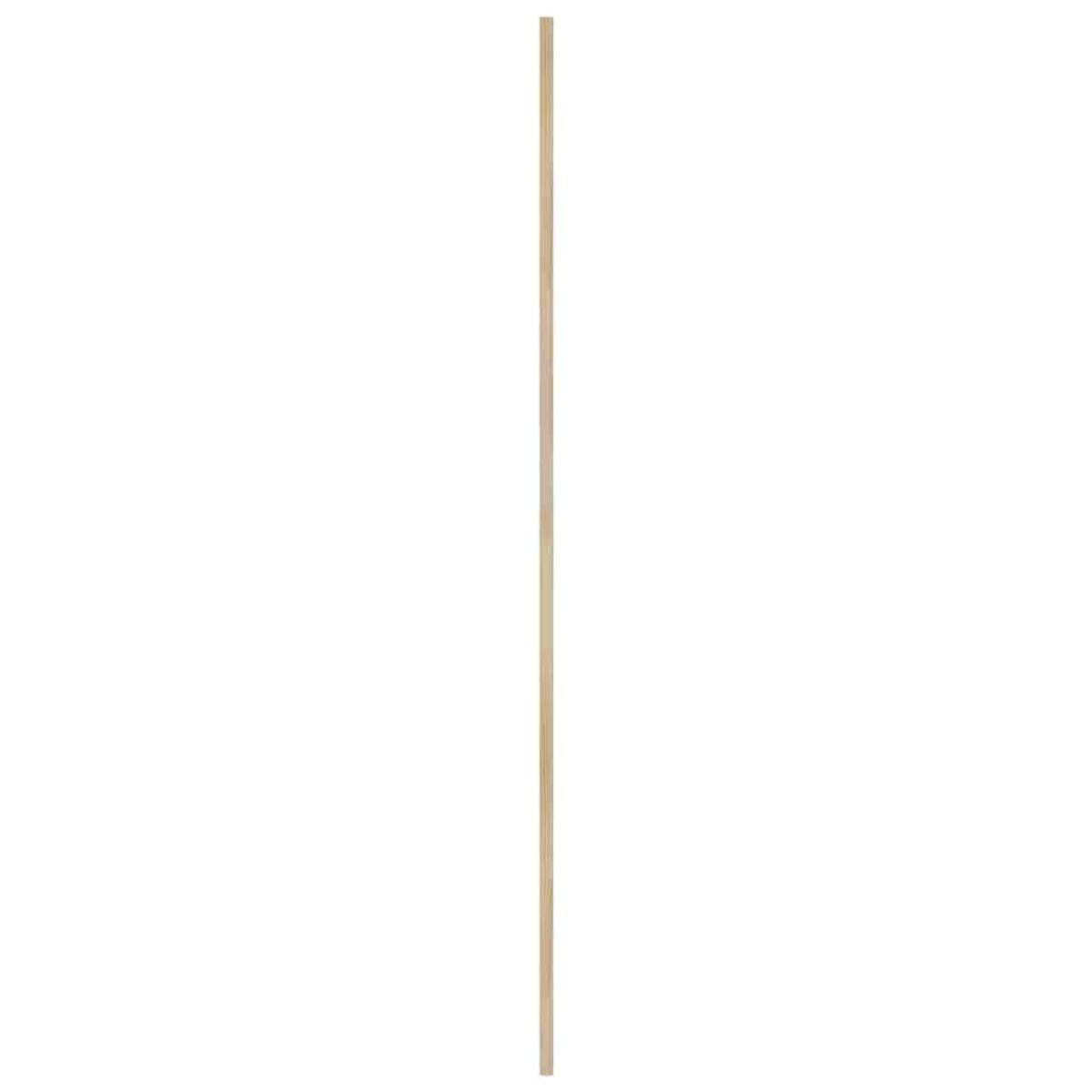 vidaXL Πόρτα Ντουλάπας με πόρτα 2 τμχ. Φυσικό 170 x 2,1 x 39,5 cm