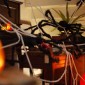vidaXL Διακόσμηση Σαρακιού Χαλοουίν με Ιστός 4 τμχ. Μαύρο και λευκό