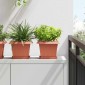 vidaXL Τετραγωνικός Δίσκος Λουλουδιών 24 τμχ. Κεραμιδί 18 x 18 x 2 εκ.