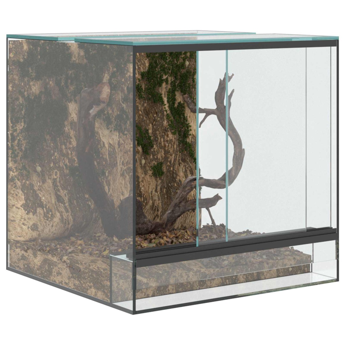 vidaXL Terrarium με αποθήκευση Διαφανές 30 x 30 x 30 cm Γυαλί