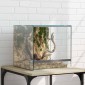 vidaXL Terrarium με αποθήκευση Διαφανές 30 x 30 x 30 cm Γυαλί