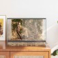 vidaXL Terrarium με αποθήκευση Διαφανές 40 x 30 x 30 εκ Γυαλί