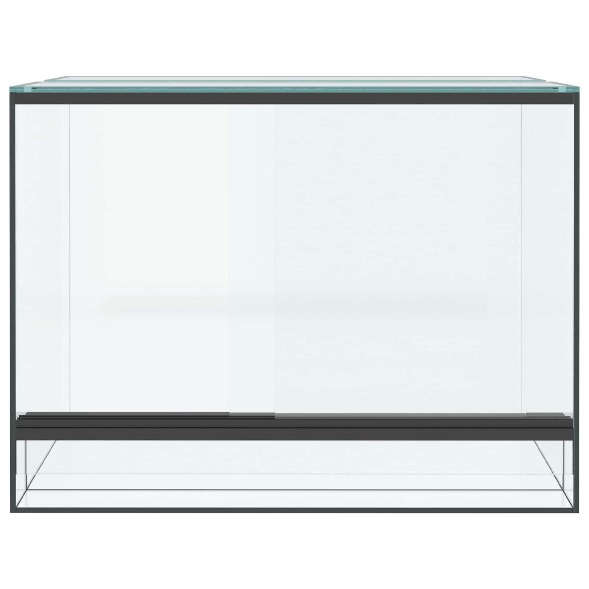 vidaXL Terrarium με αποθήκευση Διαφανές 40 x 30 x 30 εκ Γυαλί