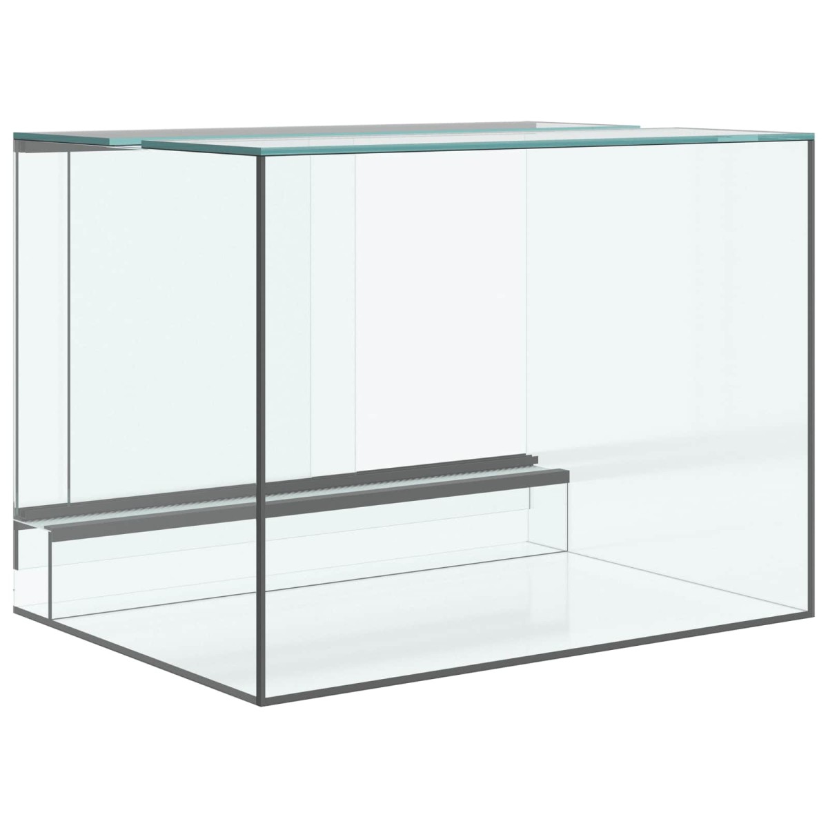 vidaXL Terrarium με αποθήκευση Διαφανές 40 x 30 x 30 εκ Γυαλί