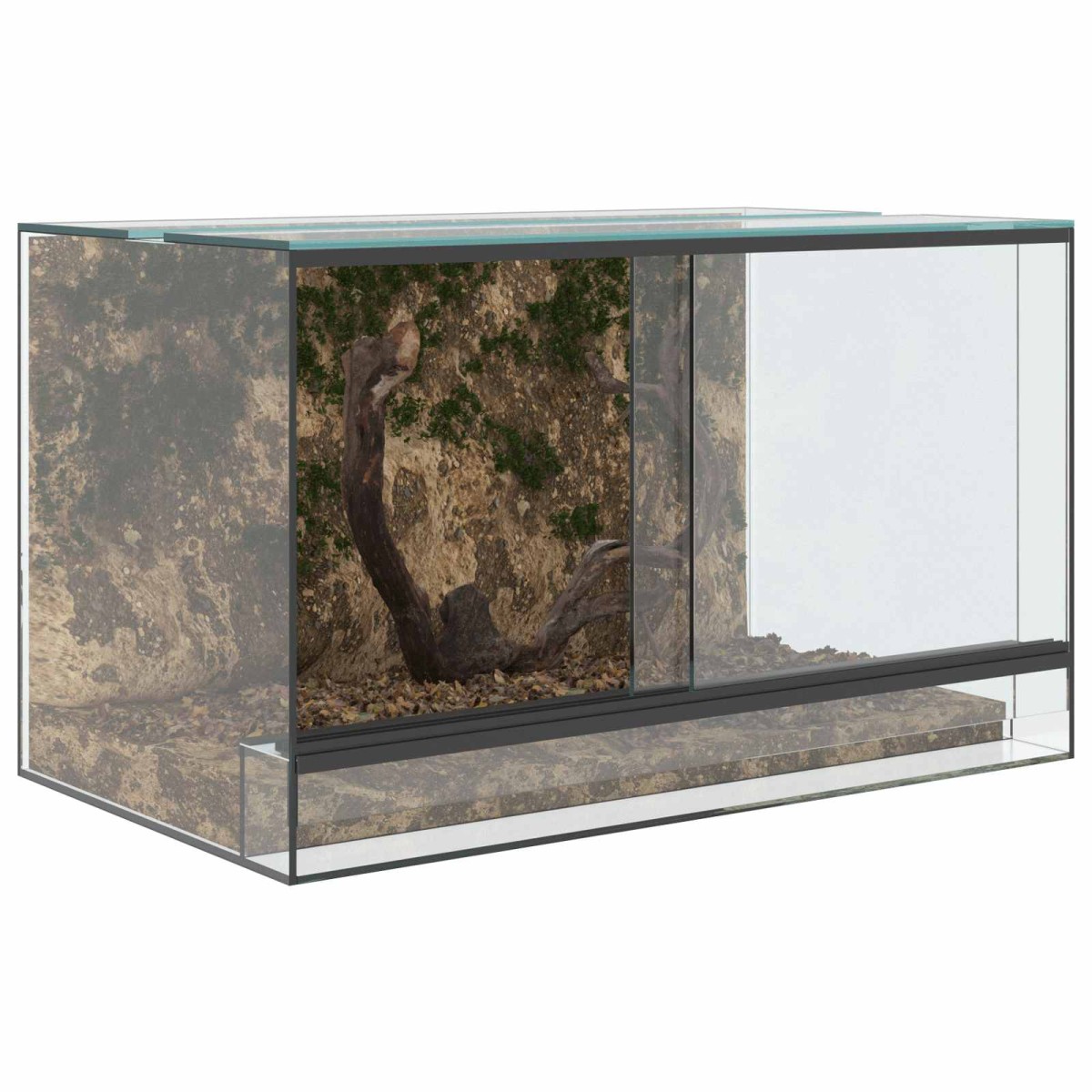 vidaXL Terrarium με αποθήκευση Διαφανές 50 x 30 x 30 εκ. Γυαλί