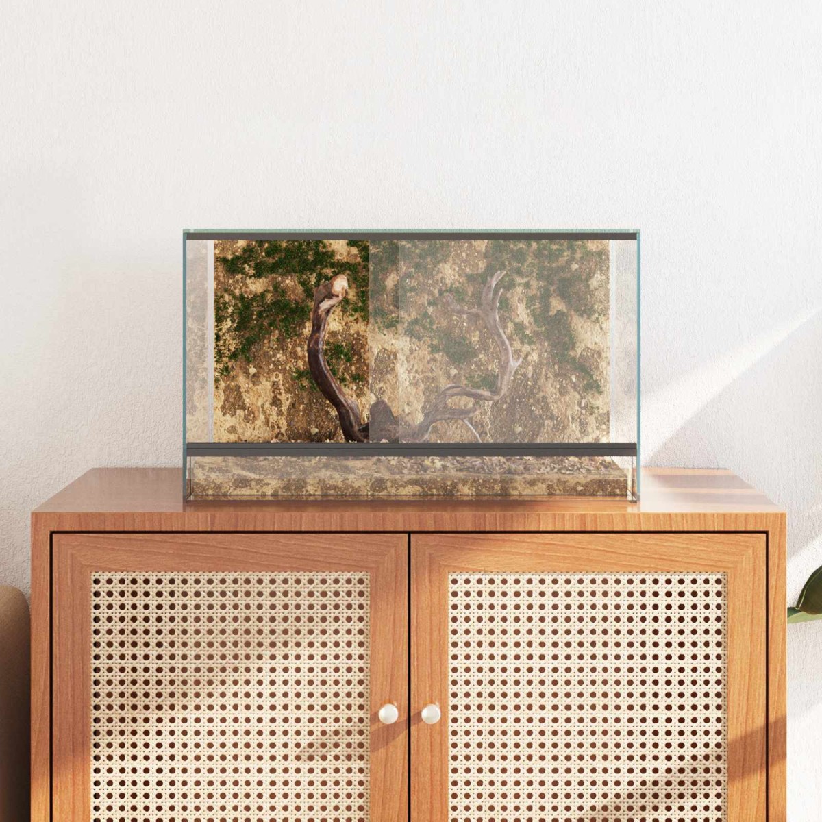 vidaXL Terrarium με αποθήκευση Διαφανές 50 x 30 x 30 εκ. Γυαλί