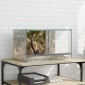 vidaXL Terrarium με αποθήκευση Διαφανές 50 x 30 x 30 εκ. Γυαλί