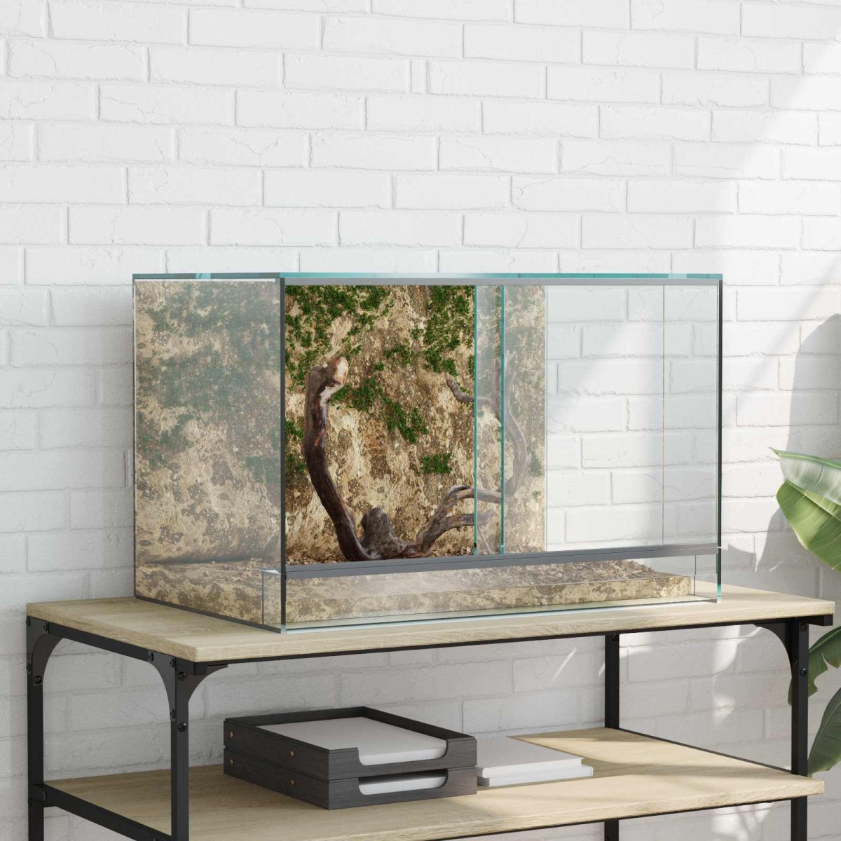 vidaXL Terrarium με αποθήκευση Διαφανές 60 x 40 x 40 εκ. Γυαλί