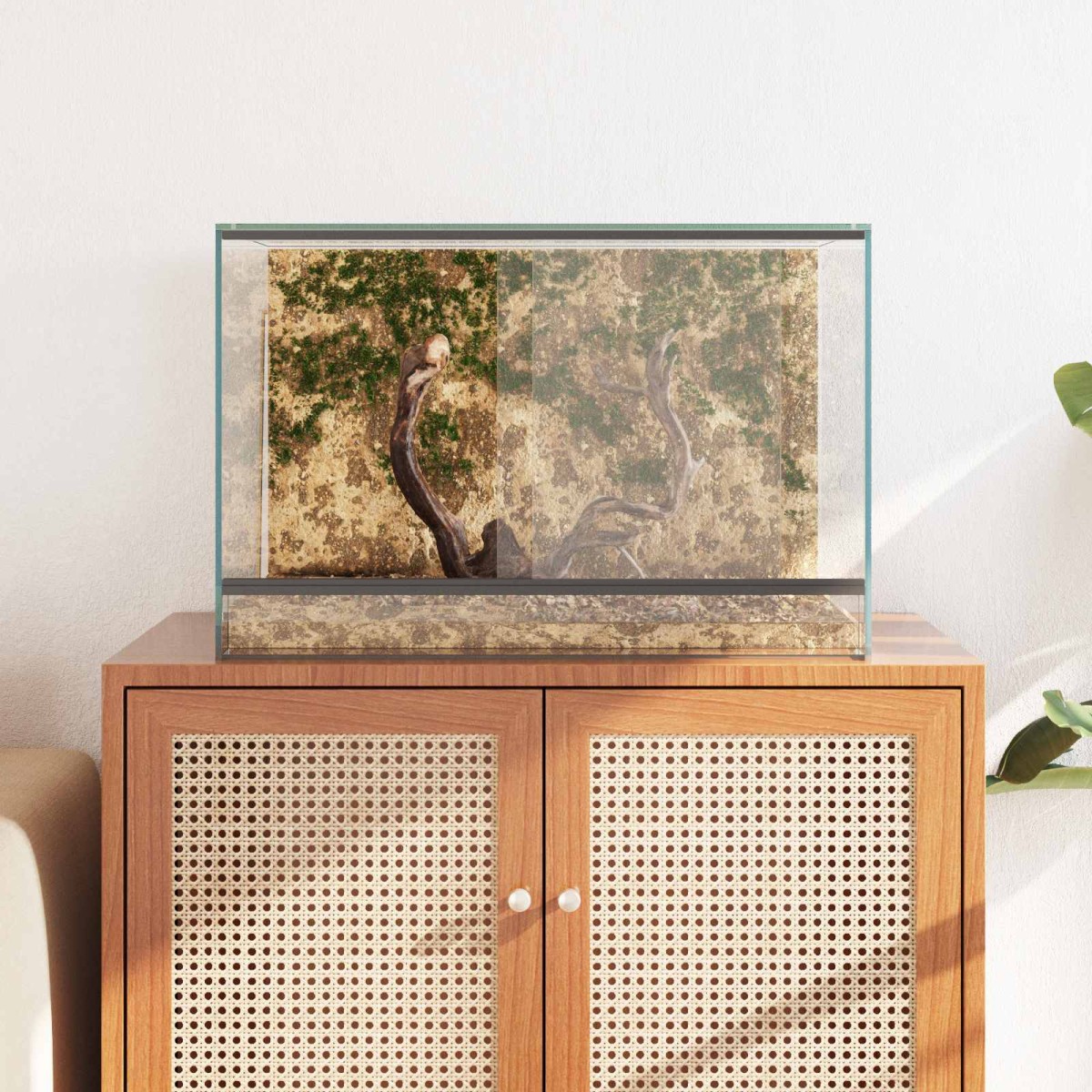 vidaXL Terrarium με αποθήκευση Διαφανές 60 x 40 x 40 εκ. Γυαλί
