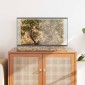vidaXL Terrarium με αποθήκευση Διαφανές 60 x 40 x 40 εκ. Γυαλί