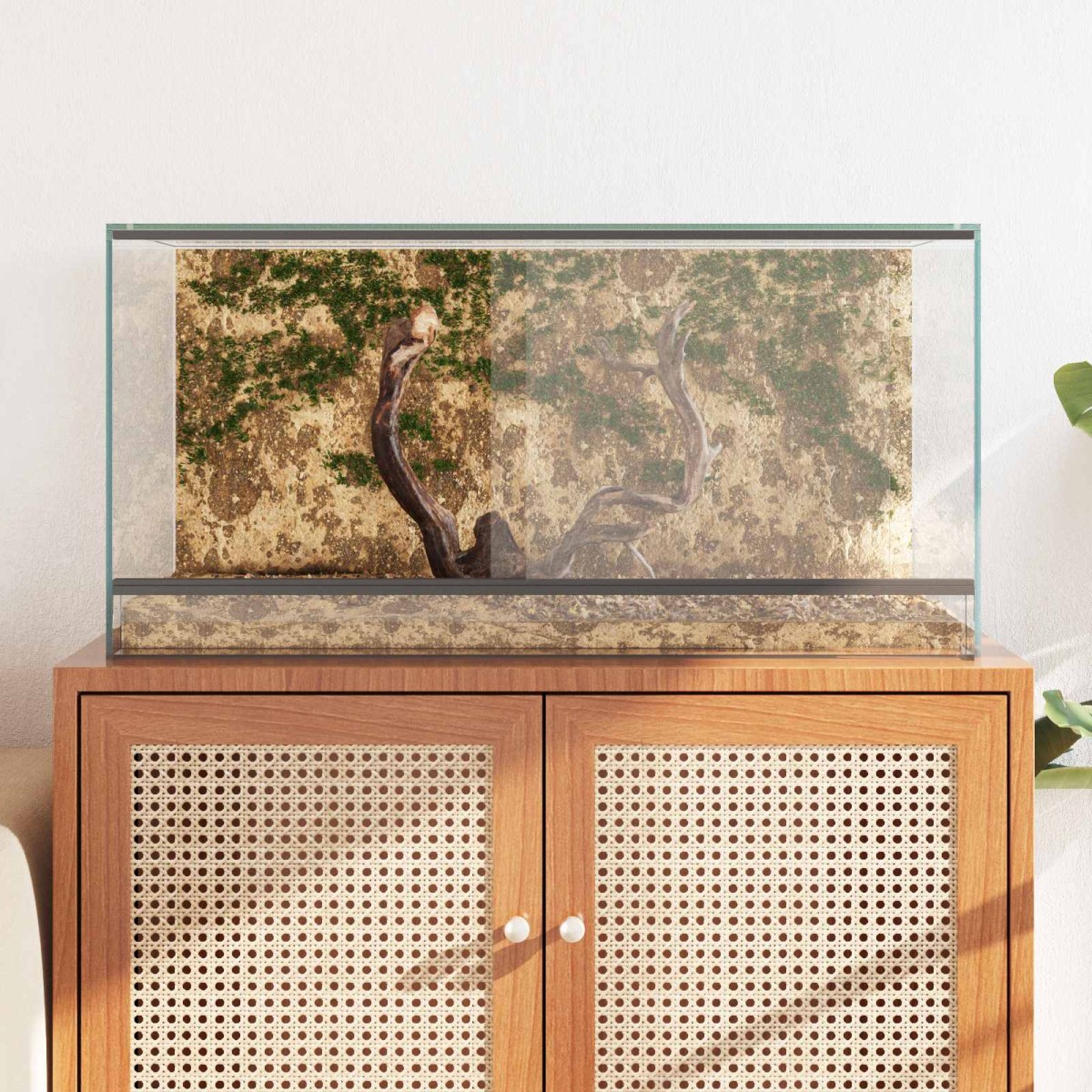 vidaXL Terrarium με αποθήκευση Διαφανές 80 x 40 x 40 cm Γυαλί