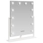 vidaXL Καθρέφτης Vanity LED Λευκό 44 x 10 x 53 εκ Γυαλί και Χάλυβας