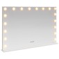 vidaXL Καθρέφτης Vanity LED Λευκό 80 x 10 x 52,5 εκ Γυαλί και Χάλυβας