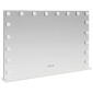 vidaXL Καθρέφτης Vanity LED Λευκό 80 x 10 x 52,5 εκ Γυαλί και Χάλυβας
