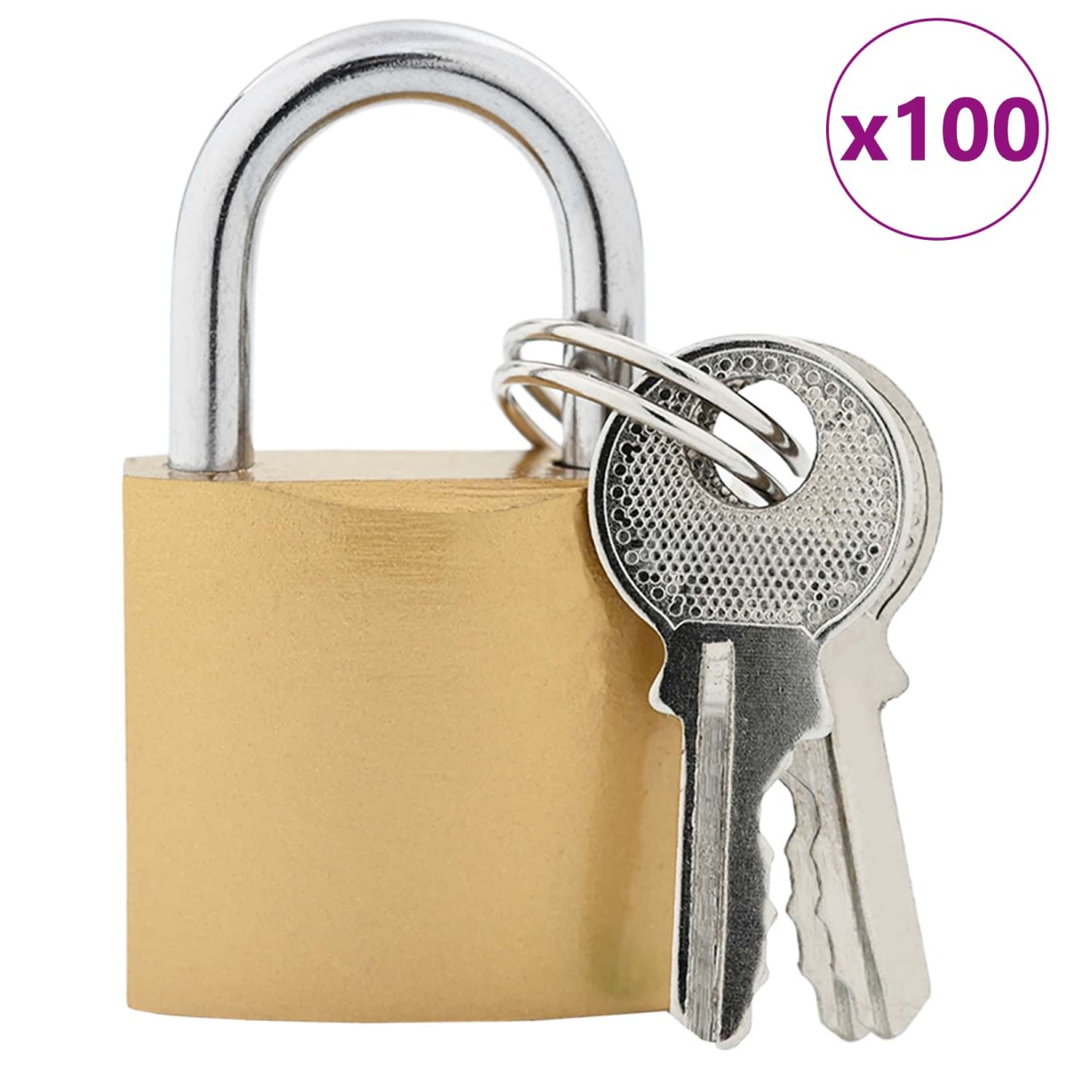 vidaXL Κλειδαριά U με Κλειδιά 100 τμχ. Ορείχαλκος Σίδερο