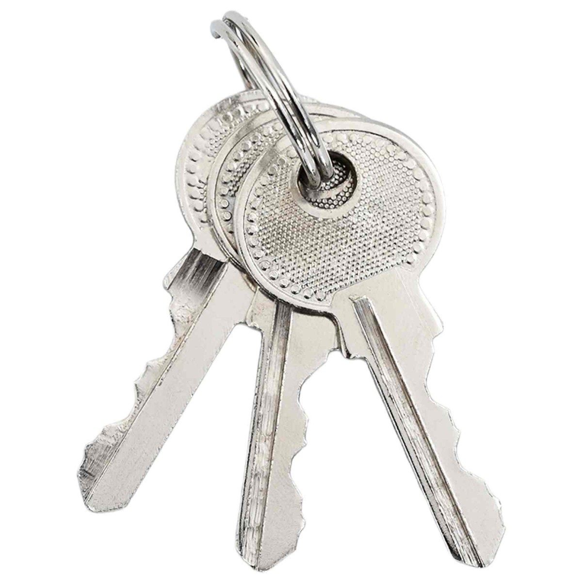 vidaXL Κλειδαριά U με Κλειδιά 2 τμχ. Ορείχαλκος Σίδερο