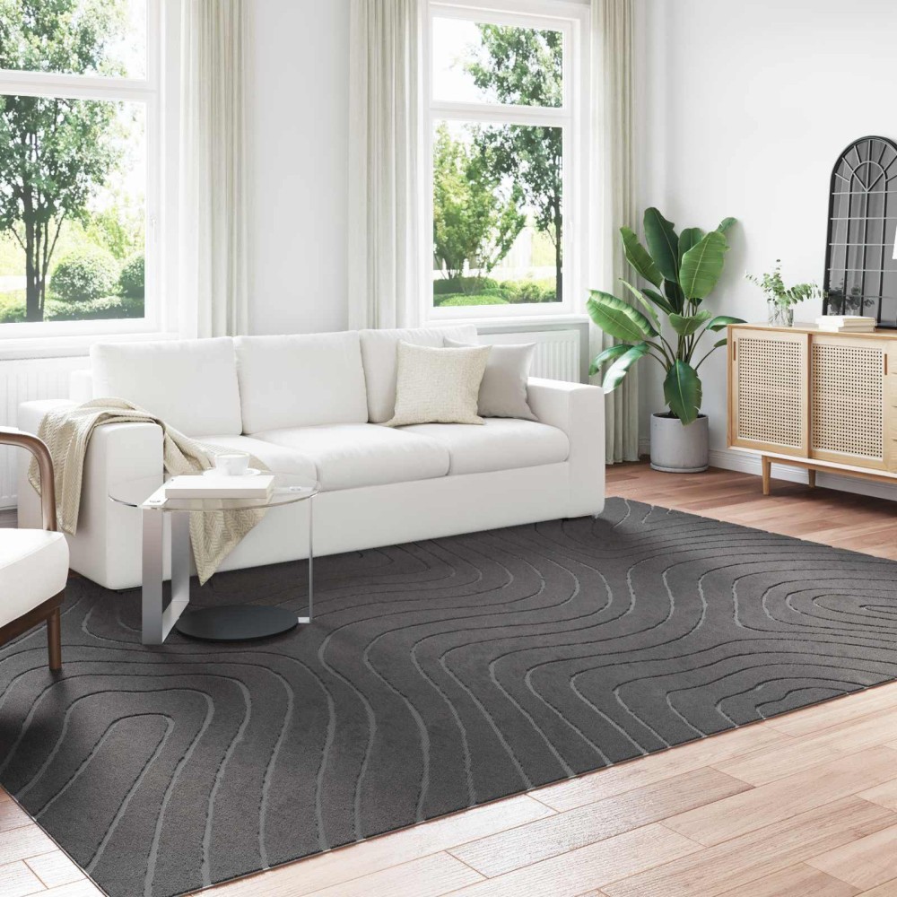 vidaXL Χαλιά χώρου Ορθογώνιος PALMERAS Ανθρακί 280 x 200 εκ