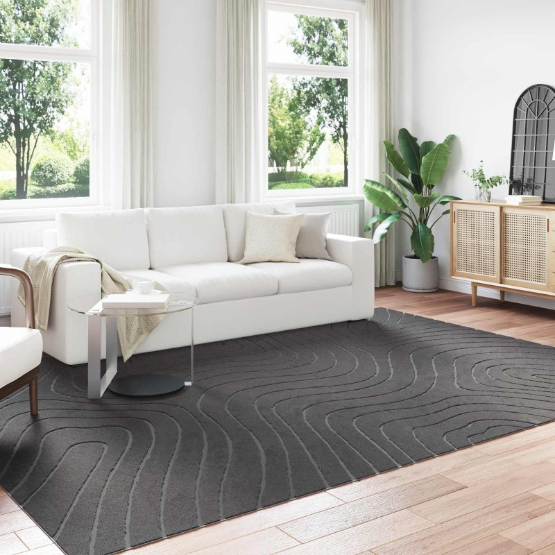 vidaXL Χαλιά χώρου Ορθογώνιος PALMERAS Ανθρακί 280 x 200 εκ
