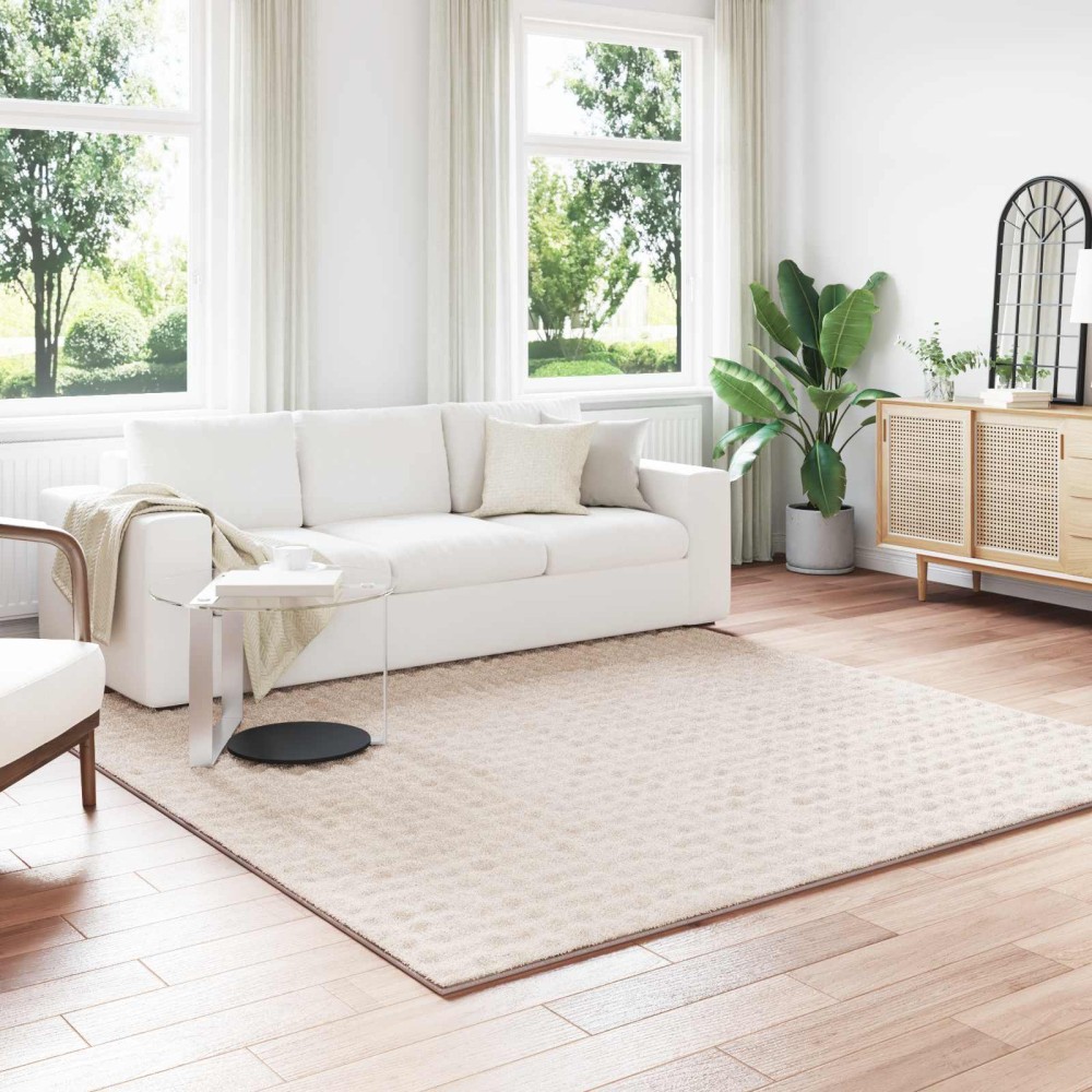 vidaXL Χαλιά χώρου τετράγωνο SIROLO Μπεζ 240 x 240 cm Πολυεστέρας