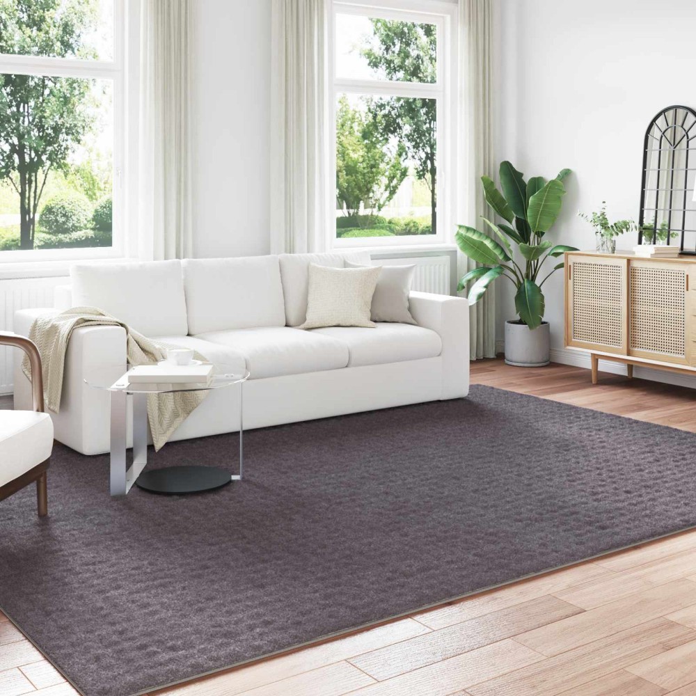 vidaXL Χαλιά χώρου Ορθογώνιος SIROLO Ανθρακί 280 x 200 εκ Πολυεστέρας