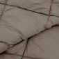 vidaXL Χειμερινό Παπλωματοθήκη 155 x 200 εκ. 450 gsm Ανοιχτό γκρι
