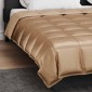 vidaXL Κουβέρτα ολόκληρου του χρόνου 220 x 240 cm 300 gsm Χρυσό