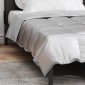 vidaXL Κουβέρτα ολόκληρου του χρόνου 135 x 200 cm 300 gsm Ασημί